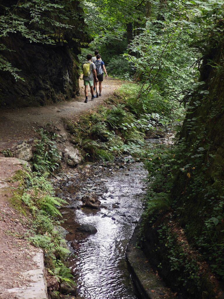 Die Wanderung führt von Bernkastel Kues entlang des Tiefenbachs