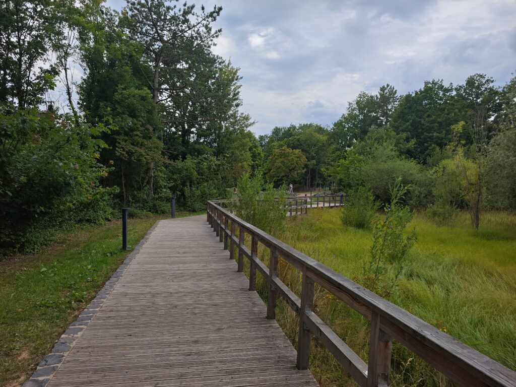 Der Kurpark auf dem Kueser Plateau
